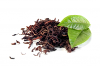 slippery Elm